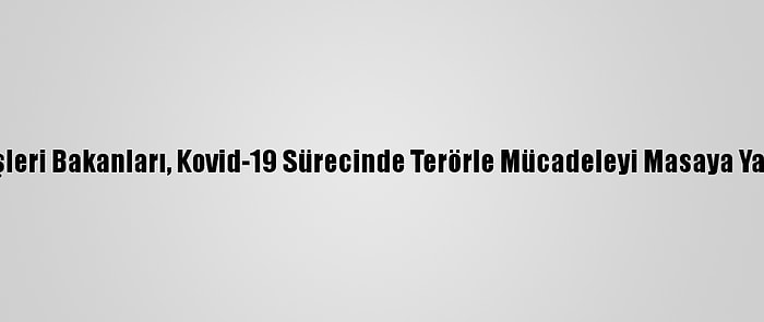 Dışişleri Bakanları, Kovid-19 Sürecinde Terörle Mücadeleyi Masaya Yatırdı