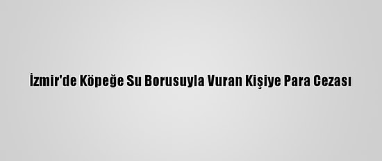 İzmir'de Köpeğe Su Borusuyla Vuran Kişiye Para Cezası