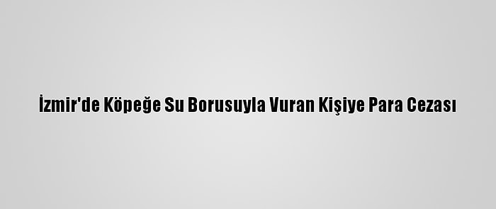 İzmir'de Köpeğe Su Borusuyla Vuran Kişiye Para Cezası