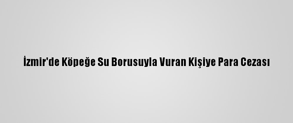 İzmir'de Köpeğe Su Borusuyla Vuran Kişiye Para Cezası