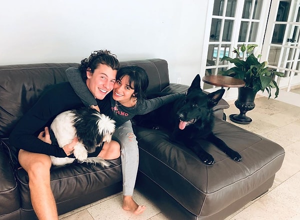 Шон Мендес и Камила Кабельо - «Сеньорита» - лучшая совместная работа