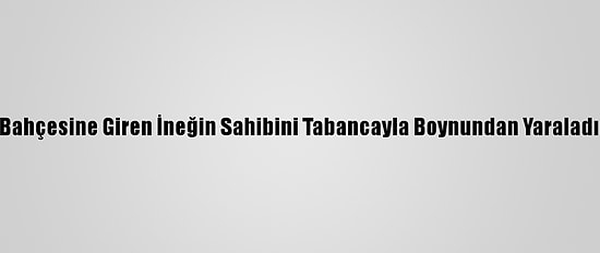 Bahçesine Giren İneğin Sahibini Tabancayla Boynundan Yaraladı