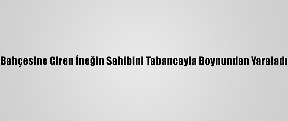 Bahçesine Giren İneğin Sahibini Tabancayla Boynundan Yaraladı