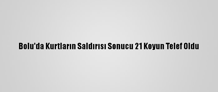 Bolu'da Kurtların Saldırısı Sonucu 21 Koyun Telef Oldu