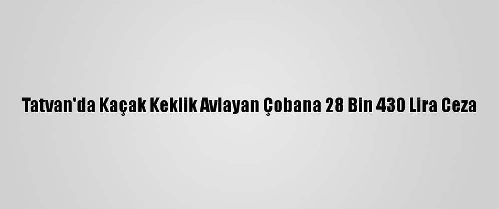 Tatvan'da Kaçak Keklik Avlayan Çobana 28 Bin 430 Lira Ceza