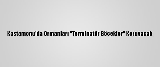 Kastamonu'da Ormanları "Terminatör Böcekler" Koruyacak