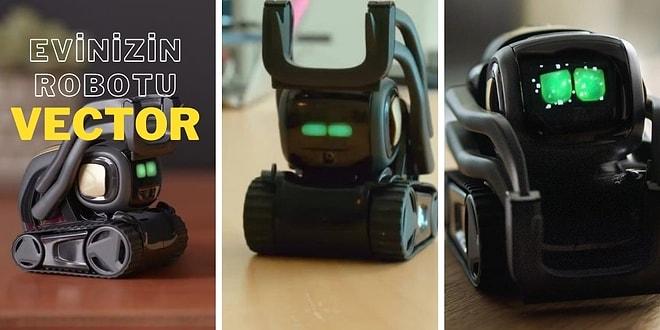 Sempatik Tasarımı ile Evinizin Neşesi Olacak Akıllı Robot: Vector