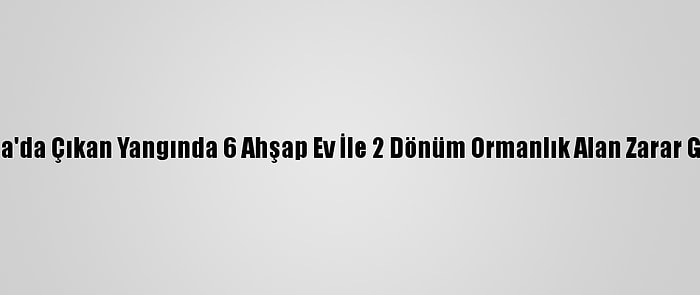 Muğla'da Çıkan Yangında 6 Ahşap Ev İle 2 Dönüm Ormanlık Alan Zarar Gördü