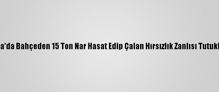 Adana'da Bahçeden 15 Ton Nar Hasat Edip Çalan Hırsızlık Zanlısı Tutuklandı