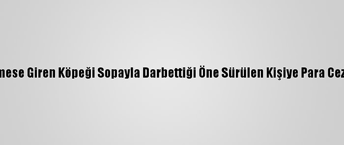 Kümese Giren Köpeği Sopayla Darbettiği Öne Sürülen Kişiye Para Cezası