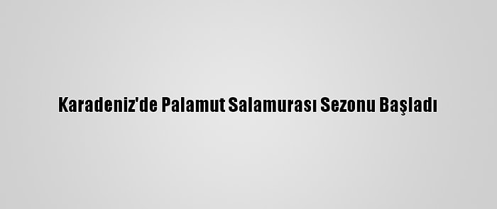 Karadeniz'de Palamut Salamurası Sezonu Başladı