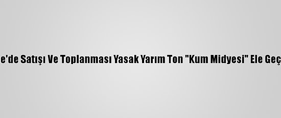 Edirne'de Satışı Ve Toplanması Yasak Yarım Ton "Kum Midyesi" Ele Geçirildi