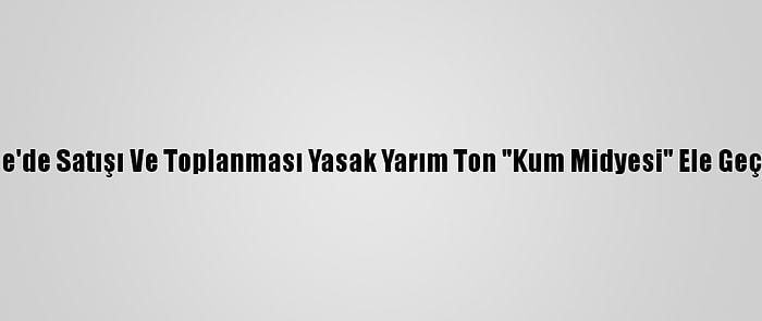 Edirne'de Satışı Ve Toplanması Yasak Yarım Ton "Kum Midyesi" Ele Geçirildi