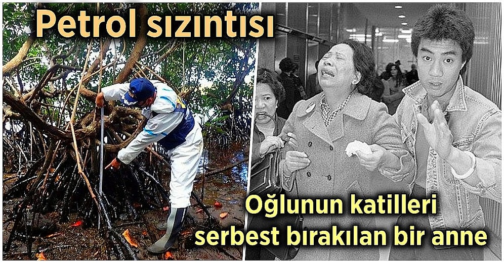 İlk Bakışta Oldukça Normal Görünen Fakat Hikayelerini Öğrenince Kanınızı Donduracak 15 Yeni Fotoğraf