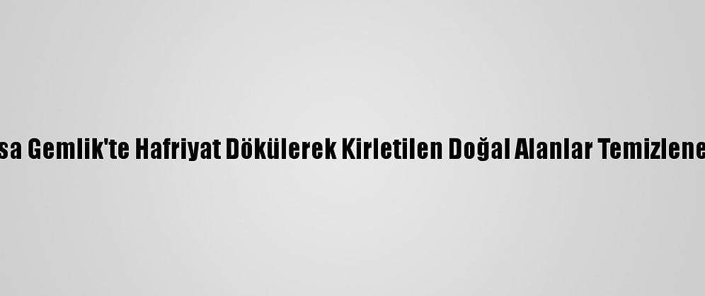 Bursa Gemlik'te Hafriyat Dökülerek Kirletilen Doğal Alanlar Temizlenecek