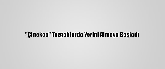"Çinekop" Tezgahlarda Yerini Almaya Başladı