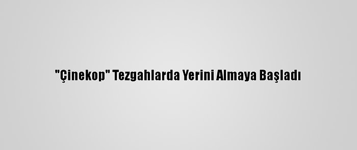 "Çinekop" Tezgahlarda Yerini Almaya Başladı