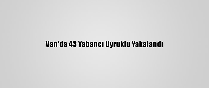 Van'da 43 Yabancı Uyruklu Yakalandı