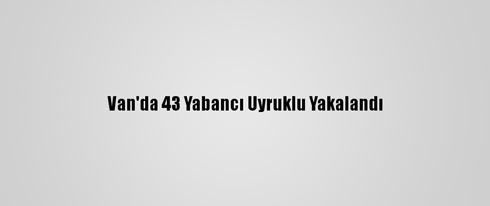 Van'da 43 Yabancı Uyruklu Yakalandı