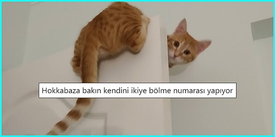 Günlük Hayatta Yaşadıkları veya Tanık Oldukları Olaylarla Yüzümüzü Güldürecek 21 Kişi