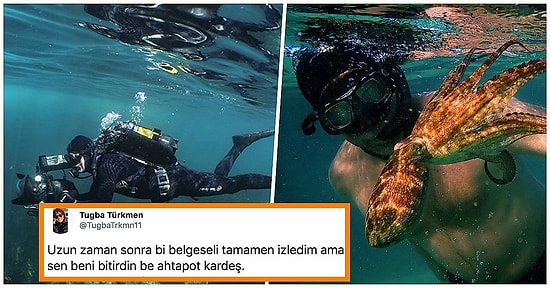 Ağlatan Belgesel mi Olur? Netflix’in Övgülere Doymayan Yeni Yapımı: ‘My Octopus Teacher’