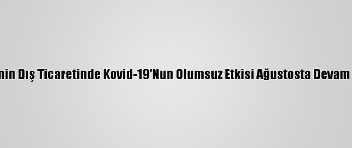 AB'nin Dış Ticaretinde Kovid-19’Nun Olumsuz Etkisi Ağustosta Devam Etti