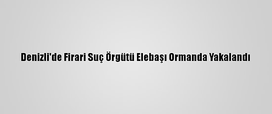 Denizli'de Firari Suç Örgütü Elebaşı Ormanda Yakalandı