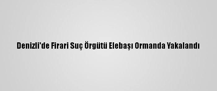 Denizli'de Firari Suç Örgütü Elebaşı Ormanda Yakalandı