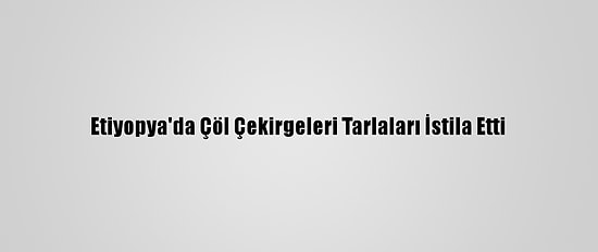 Etiyopya'da Çöl Çekirgeleri Tarlaları İstila Etti