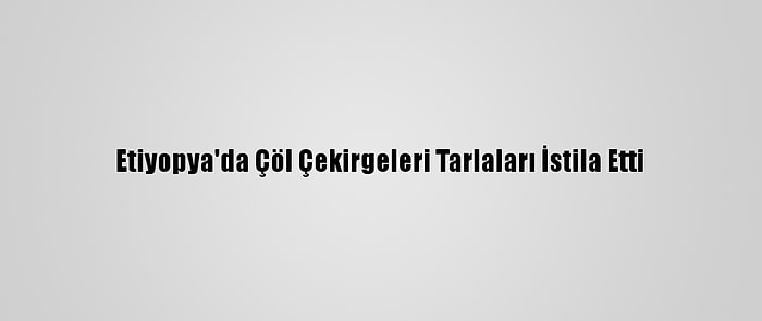 Etiyopya'da Çöl Çekirgeleri Tarlaları İstila Etti