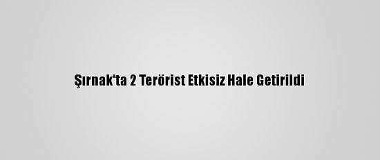 Şırnak'ta 2 Terörist Etkisiz Hale Getirildi
