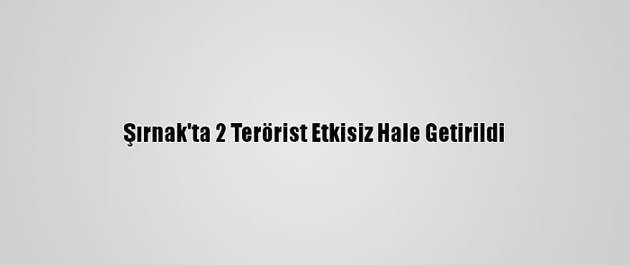 Şırnak'ta 2 Terörist Etkisiz Hale Getirildi