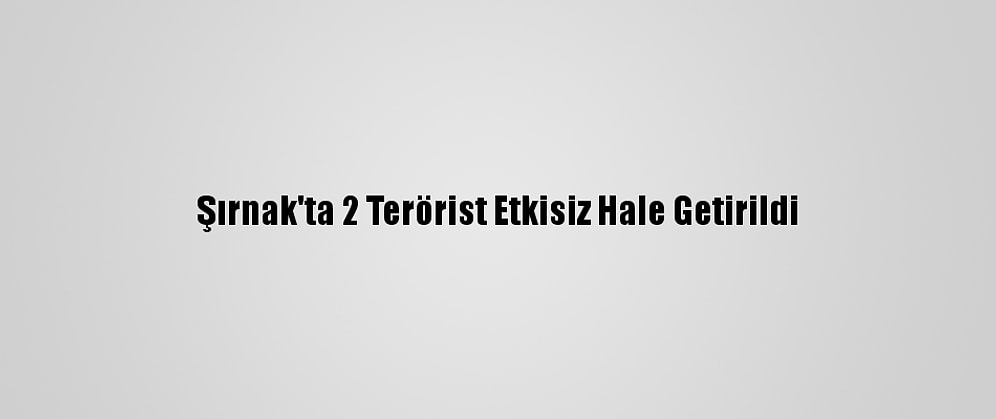 Şırnak'ta 2 Terörist Etkisiz Hale Getirildi