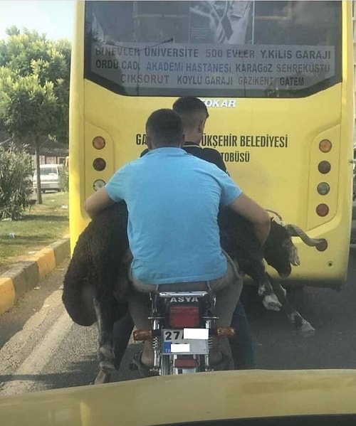 Sadece Gaziantep'te Yaşayanların Günlük Hayatlarında Görebileceği 19 Fantastik Şey