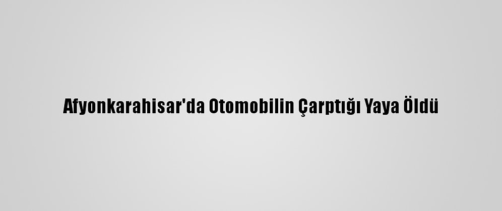 Afyonkarahisar'da Otomobilin Çarptığı Yaya Öldü