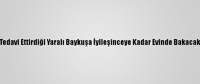 Tedavi Ettirdiği Yaralı Baykuşa İyileşinceye Kadar Evinde Bakacak