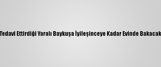 Tedavi Ettirdiği Yaralı Baykuşa İyileşinceye Kadar Evinde Bakacak