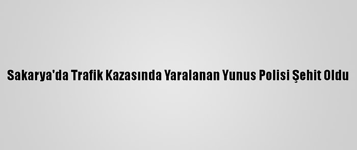 Sakarya'da Trafik Kazasında Yaralanan Yunus Polisi Şehit Oldu