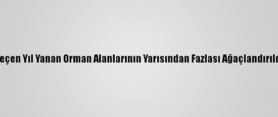Geçen Yıl Yanan Orman Alanlarının Yarısından Fazlası Ağaçlandırıldı