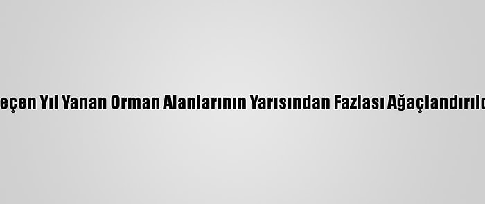 Geçen Yıl Yanan Orman Alanlarının Yarısından Fazlası Ağaçlandırıldı