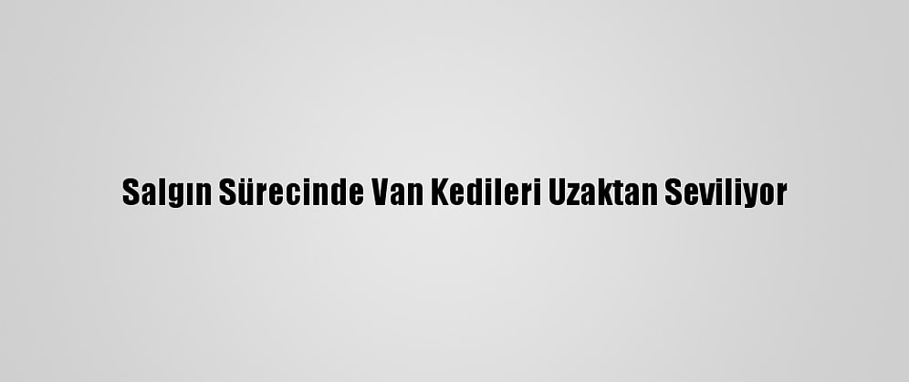 Salgın Sürecinde Van Kedileri Uzaktan Seviliyor