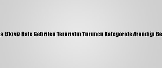 Şırnak'ta Etkisiz Hale Getirilen Teröristin Turuncu Kategoride Arandığı Belirlendi