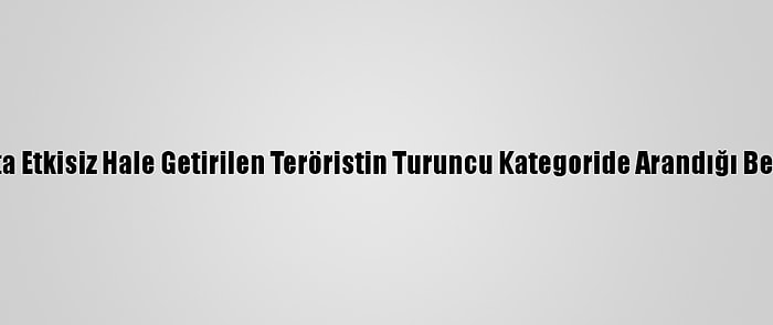 Şırnak'ta Etkisiz Hale Getirilen Teröristin Turuncu Kategoride Arandığı Belirlendi