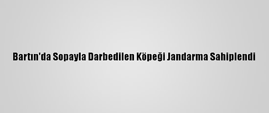 Bartın'da Sopayla Darbedilen Köpeği Jandarma Sahiplendi