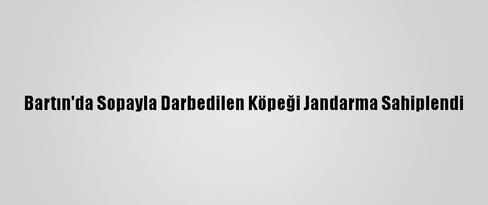 Bartın'da Sopayla Darbedilen Köpeği Jandarma Sahiplendi