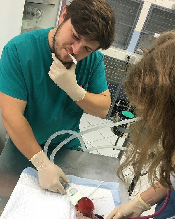 4. Регулярно вакцинируйте