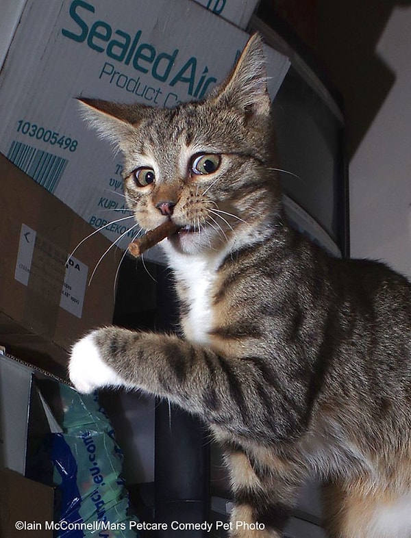 5. Поймали с поличным