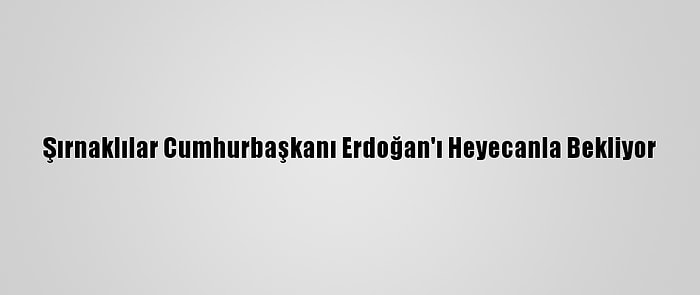 Şırnaklılar Cumhurbaşkanı Erdoğan'ı Heyecanla Bekliyor