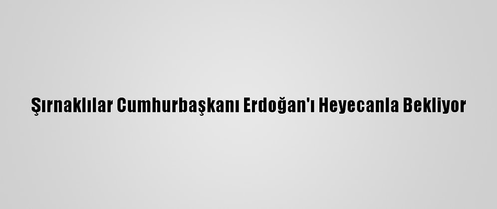 Şırnaklılar Cumhurbaşkanı Erdoğan'ı Heyecanla Bekliyor