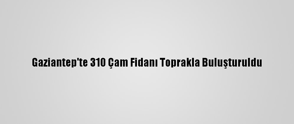 Gaziantep'te 310 Çam Fidanı Toprakla Buluşturuldu